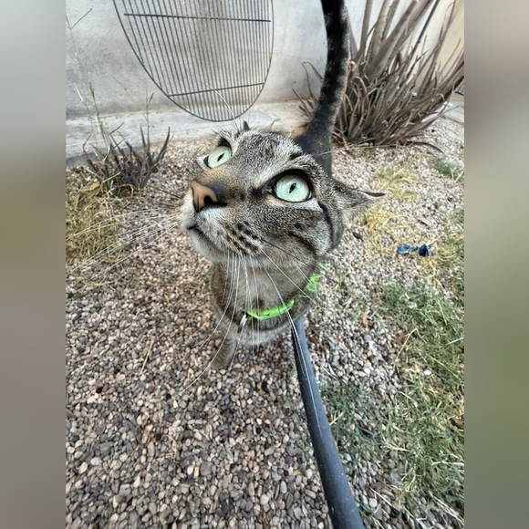 Meet your Posher, Brenda - Picture 5 of 6